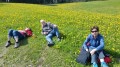 Blütenwanderung Ravensburg