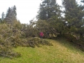 06_und_andere_Hindernisse