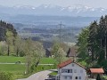 Blütenwanderung bei Bodnegg