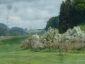 Blütenwanderung bei Bodnegg