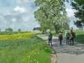 Blütenwanderung bei Bodnegg