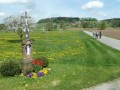 Blütenwanderung bei Bodnegg