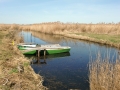 Rund um den Federsee