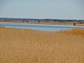 Rund um den Federsee