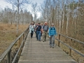 Rund um den Federsee