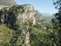 Arco