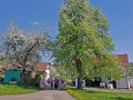 Blütenwanderung