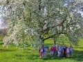 Blütenwanderung