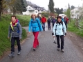 Kirschblütenwanderung bei Sipplingen