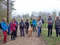 Kirschblütenwanderung bei Sipplingen