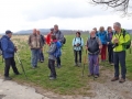 Kirschblütenwanderung bei Sipplingen
