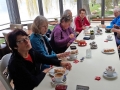 Kirschblütenwanderung bei Sipplingen