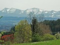 Blütenwanderung bei Bodnegg