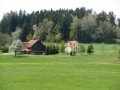 Blütenwanderung bei Bodnegg