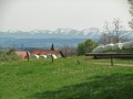 Blütenwanderung bei Bodnegg