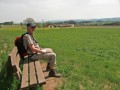 Blütenwanderung bei Bodnegg