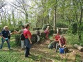 Blütenwanderung bei Bodnegg