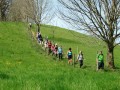 Blütenwanderung bei Bodnegg
