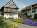 Blütenwanderung bei Bodnegg