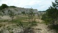 Orchideenwanderung bei Beiningen