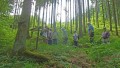 Orchideenwanderung bei Beiningen
