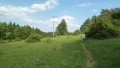 Orchideenwanderung bei Beiningen