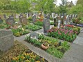 Tulpentage Gönningen