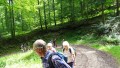 Wanderung bei Gönningen