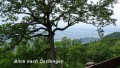 Wanderung bei Gönningen