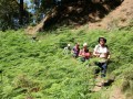 Caldera de Taburiente