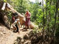 Barranco de Madera