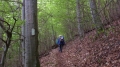 Wanderung bei Bad Ditzenbach