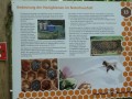 Bienenweg Illertissen