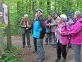 Bienenweg Illertissen