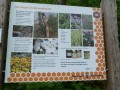 Bienenweg Illertissen
