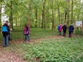 Bienenweg Illertissen