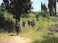 auf den Profitis Ilias