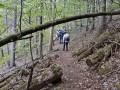 Maiwanderung bei Blaubeuren