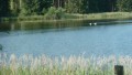 Wanderung im Königswinkel