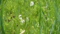 Wanderung im Königswinkel