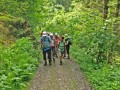 Wanderung bei Maria Rain
