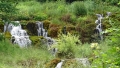Wanderung bei Wolfegg