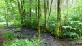Wanderung bei Wolfegg