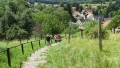 Wanderung bei Wolfegg