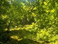 11_Wasserfallsteig