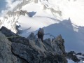 Dent du Géant