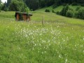 Bergwanderung Liegstein