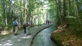 Ochsenhausen - Krummbachtal