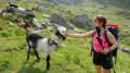Hüttentour im Tessin