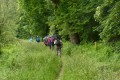 zwischen Donau und Iller